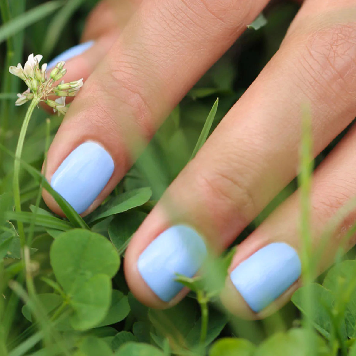 Vernis à ongle - Manicurist