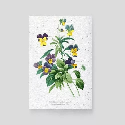 Carte à planter Pensée sauvage Papier Fleur