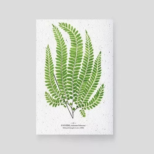 Carte à planter Fougère Papier Fleur