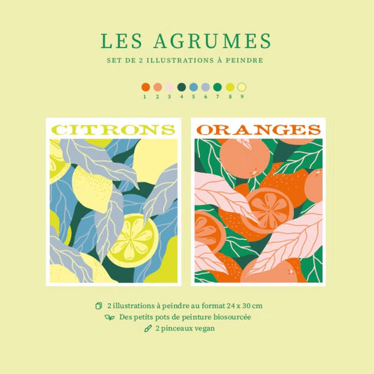Set peinture Les agrumes- Salut Irène