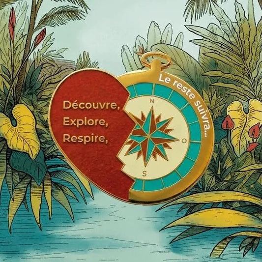 Pin’s boussole - Aventura