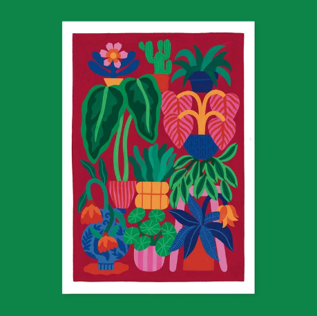Illustration les Plantes - Piment Martin