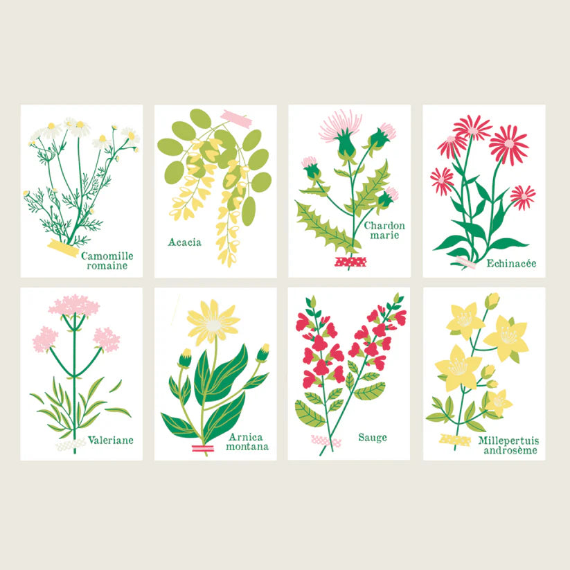 Set de 8 cartes à peindre - Salut Irène