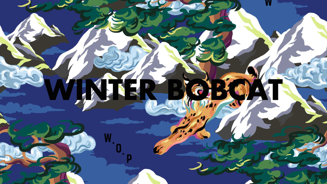 Plongez dans l'univers de "Winter Bobcat" avec W.O.P World Of Pop