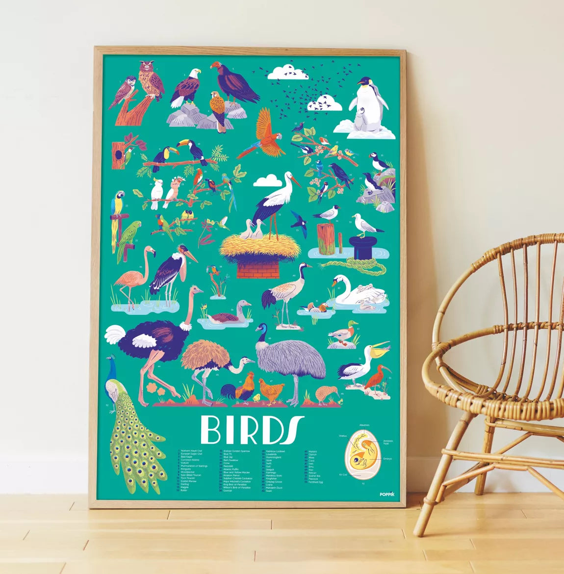 Poster stickers oiseaux / activité éducative - Poppik