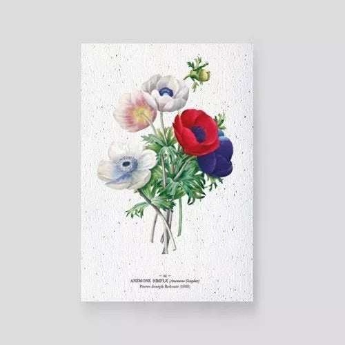 Carte à planter Anémones Papier Fleur