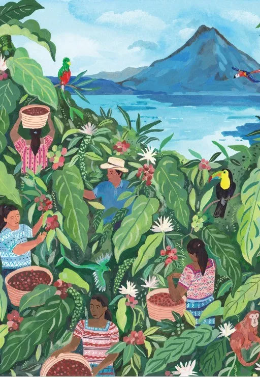 Puzzle 1000 pièces Guatemala - Pieces & Peace
