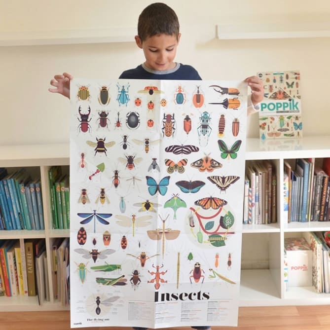 Poster éducatif et Stickers Insectes - Poppik