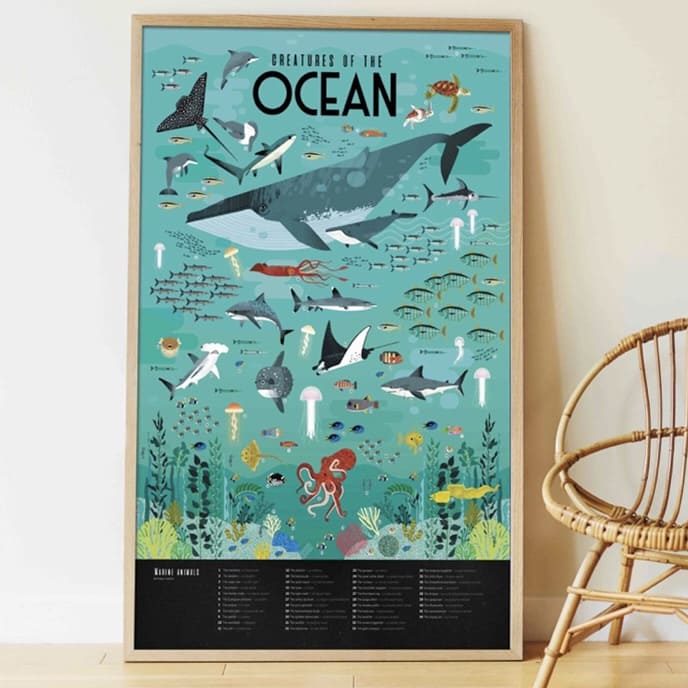 Poster éducatif et Stickers Ocean - Poppik