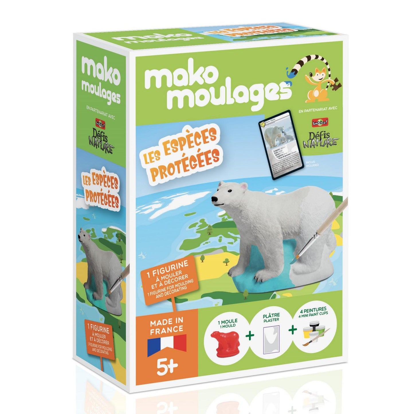 Moulages « Espèces protégées Ours polaire » - MAKO