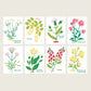 Set de 8 cartes à peindre - Salut Irène